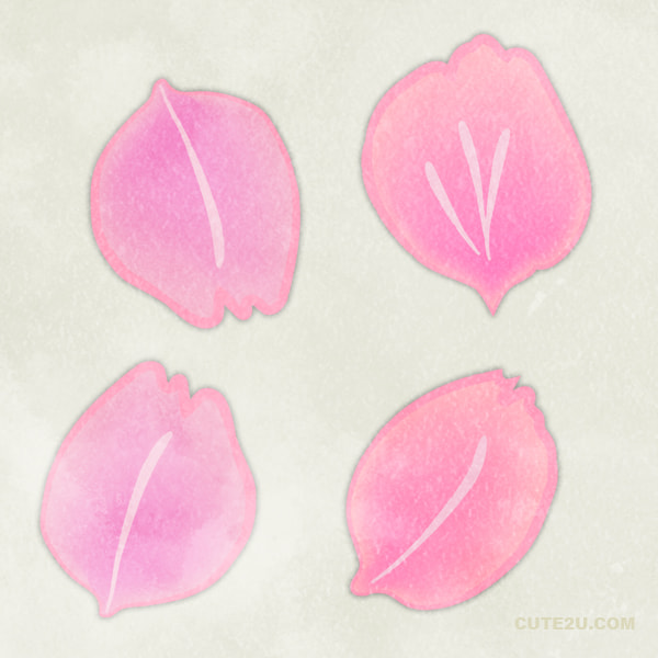 Set Of Flower Petals Of Cherry Blossom Tree