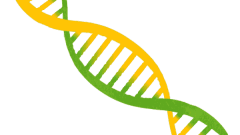 dna strain green and yellow spiral