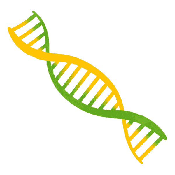 Dna Strain Green And Yellow Spiral