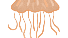 jellyfish 01 orange expressionless