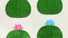 NATURE サボテン02 まとめ