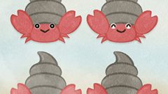 Sea Creatures Hermit Crab01 01 s