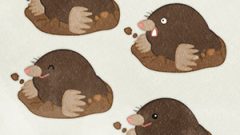 ANIMAL Mole01 01
