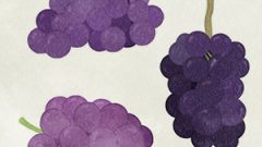 FOOD Grapes Kyoho02