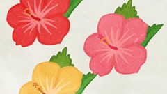 Flower Hibiscus Flower02