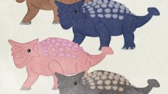 Dinosaur Ankylosaurus01