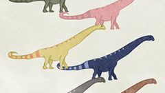 Dinosaur Argentinosaurus01