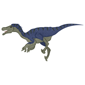 Dinosaur Velociraptor01 03