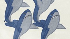ANIMAL Shark02 02