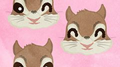 ANIMAL Squirrel01 Face01