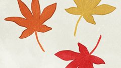 Leaves Dead Leaves Maple04