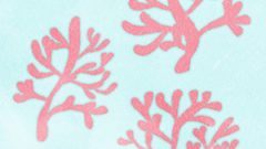 NATURE Coral01 03 Pink