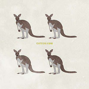 ANIMAL Kangaroo01