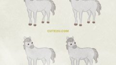 Animal White Horse02