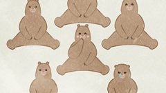 Bear02 Brown Bear Sitting Front