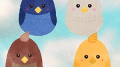 Bird Birds Character01