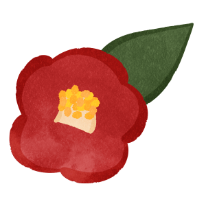 Flower Camellia01 Red