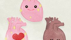 Internal Organs Heart01 Character