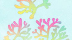 NATURE Coral01 03 Rainbow Color