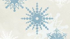 NATUTR Snow Flake08 010