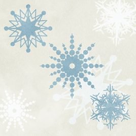 Natutr Snow Flake08 010
