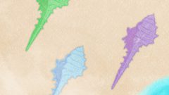 Sea Cute Shell 02 Muricidae01 02