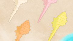 Sea Cute Shell 02 Muricidae01