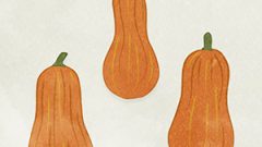 Vegetable Pumpkin Long Pumpkin Orange01 03