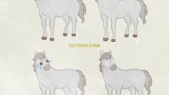 White Animal Horse02 02
