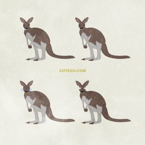 Animal Kangaroo02