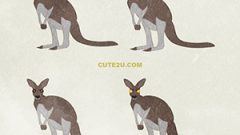 ANIMAL Kangaroo03