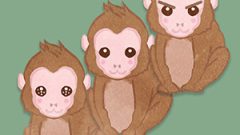 Animal Monkey01