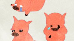 Animal Pig01 Whole Body