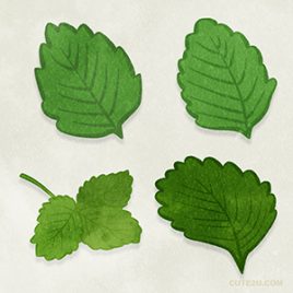 Food Strawberry Leaves01 01