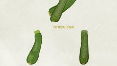 FOOD Vegetables Zucchini01 02
