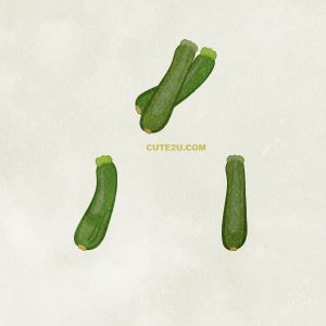 Food Vegetables Zucchini01 02