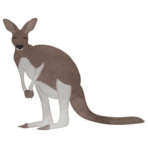 Kangaroo01 Embarrassed