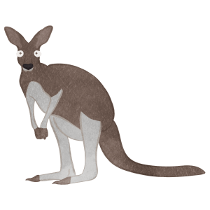 Kangaroo01 Surprised