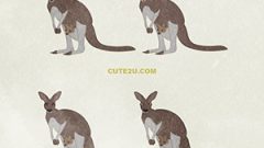 Kangaroo01 Having A Child Sparkling01 01