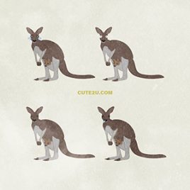 Kangaroo01 Having A Child01 02