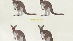 Kangaroo01 Having A Child01 03