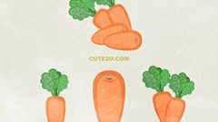 Vegetables Carrot02
