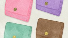 Wallet01