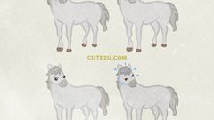 White Animal Horse02 03