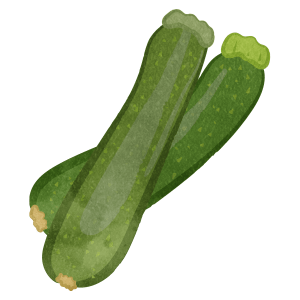 Zucchini 01 02