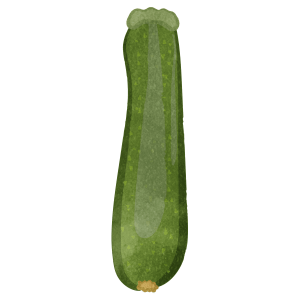 Zucchini 01
