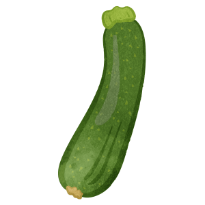 Zucchini 02