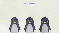 ANIMAL Bird Penguin02 02