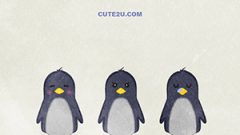 ANIMAL Bird Penguin02 03