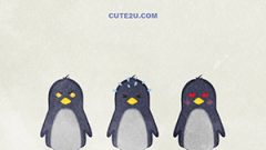ANIMAL Bird Penguin02 04